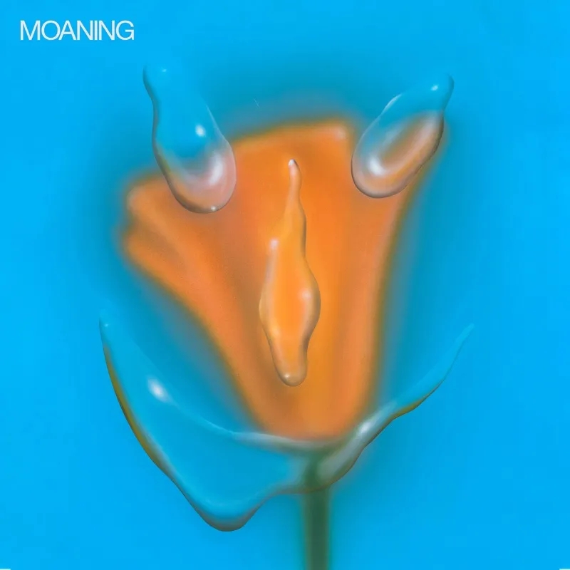 Album artwork for Uneasy Laughter by Moaning