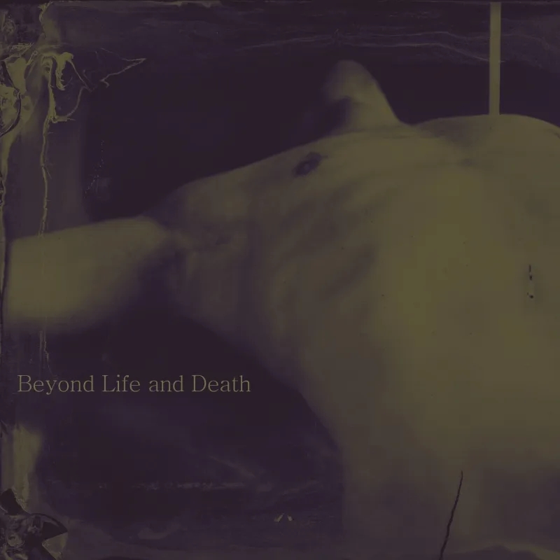 Album artwork for Beyond Life and Death by Noeta