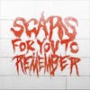 Album artwork for Scars For You To Remember by Varials