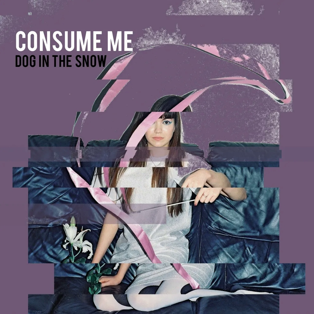 Album artwork for Consume Me by Dog in the Snow
