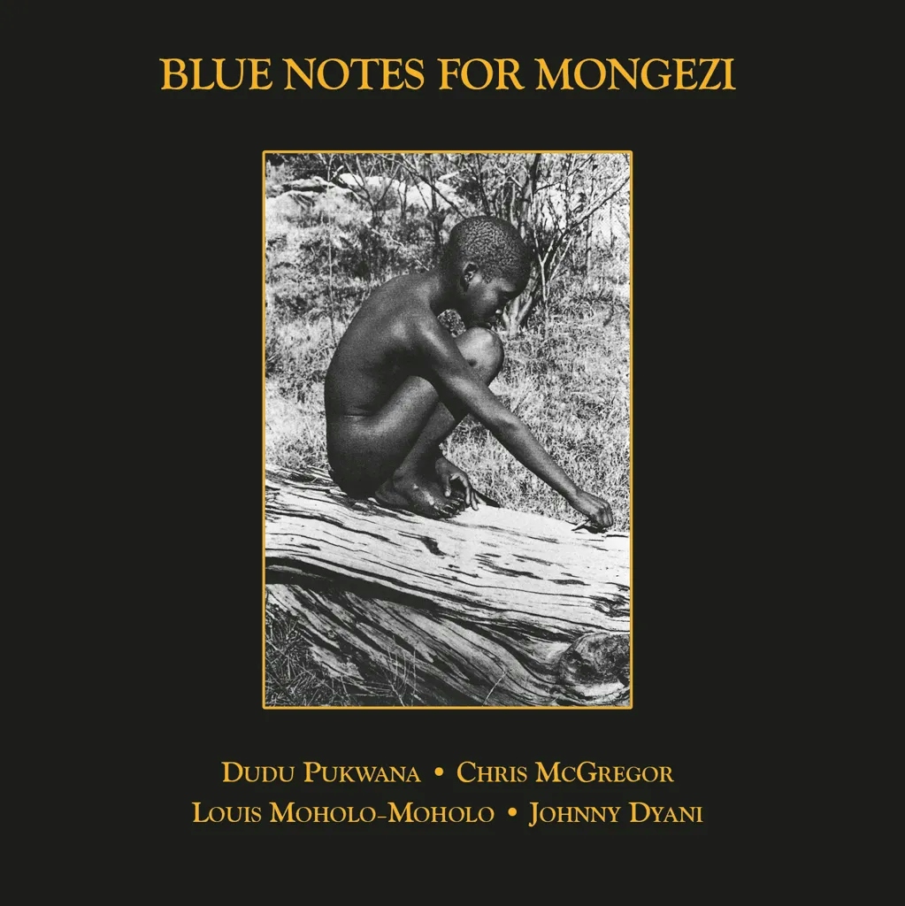 Album artwork for Blue Notes For Mongezi by Blue Notes