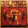 Album artwork for Amazing Disgrace by The Posies