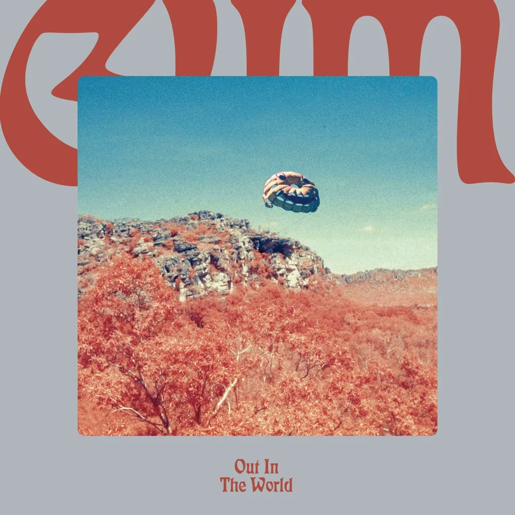 Album artwork for Out in The World by Gum