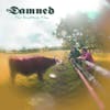 Album artwork for The Rockfield Files by The Damned