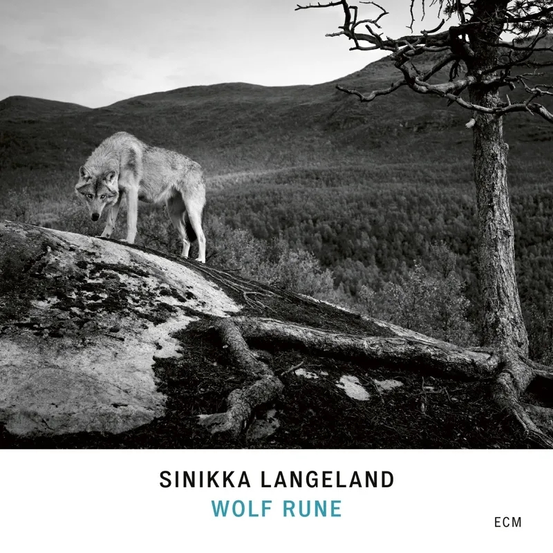Album artwork for Wolf Rune by Sinikka Langeland