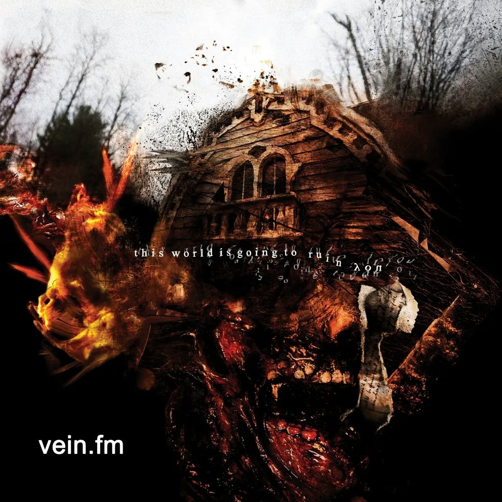 Album artwork for This World Is Going To Ruin You by Vein.fm