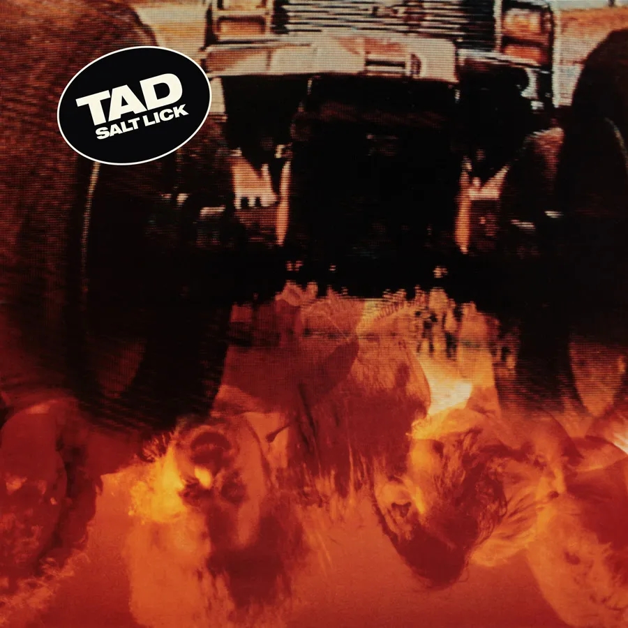 Album artwork for Salt Lick (Deluxe) by Tad