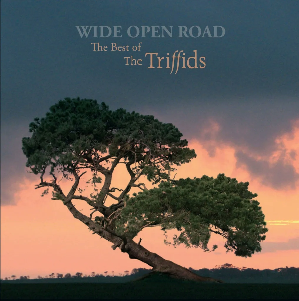 Album artwork for Wide Open Road - The Best Of The Triffids by The Triffids