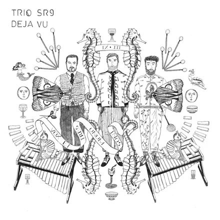 Album artwork for Deja Vu by Trio SR9