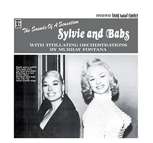 Album artwork for Sylvie And Babs by Nurse With Wound