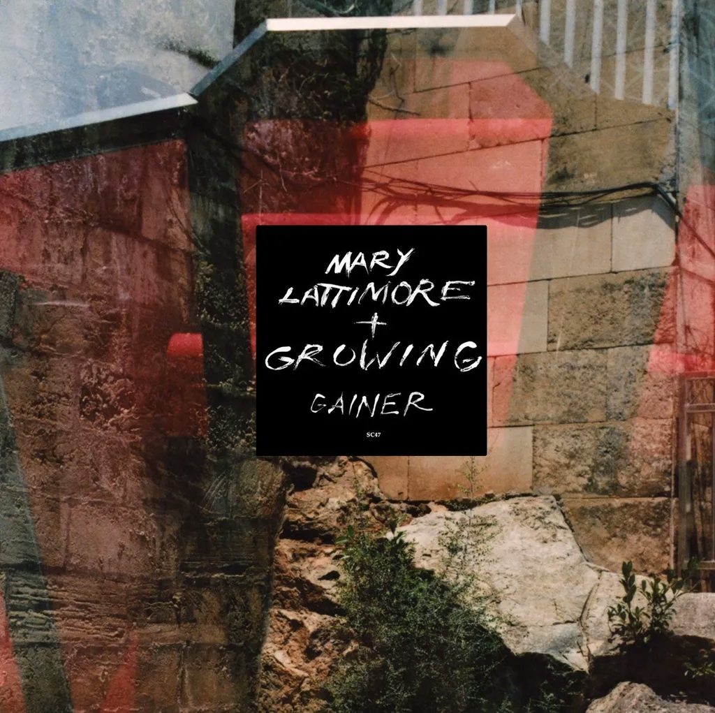 Album artwork for Gainer by Mary Lattimore and Growing