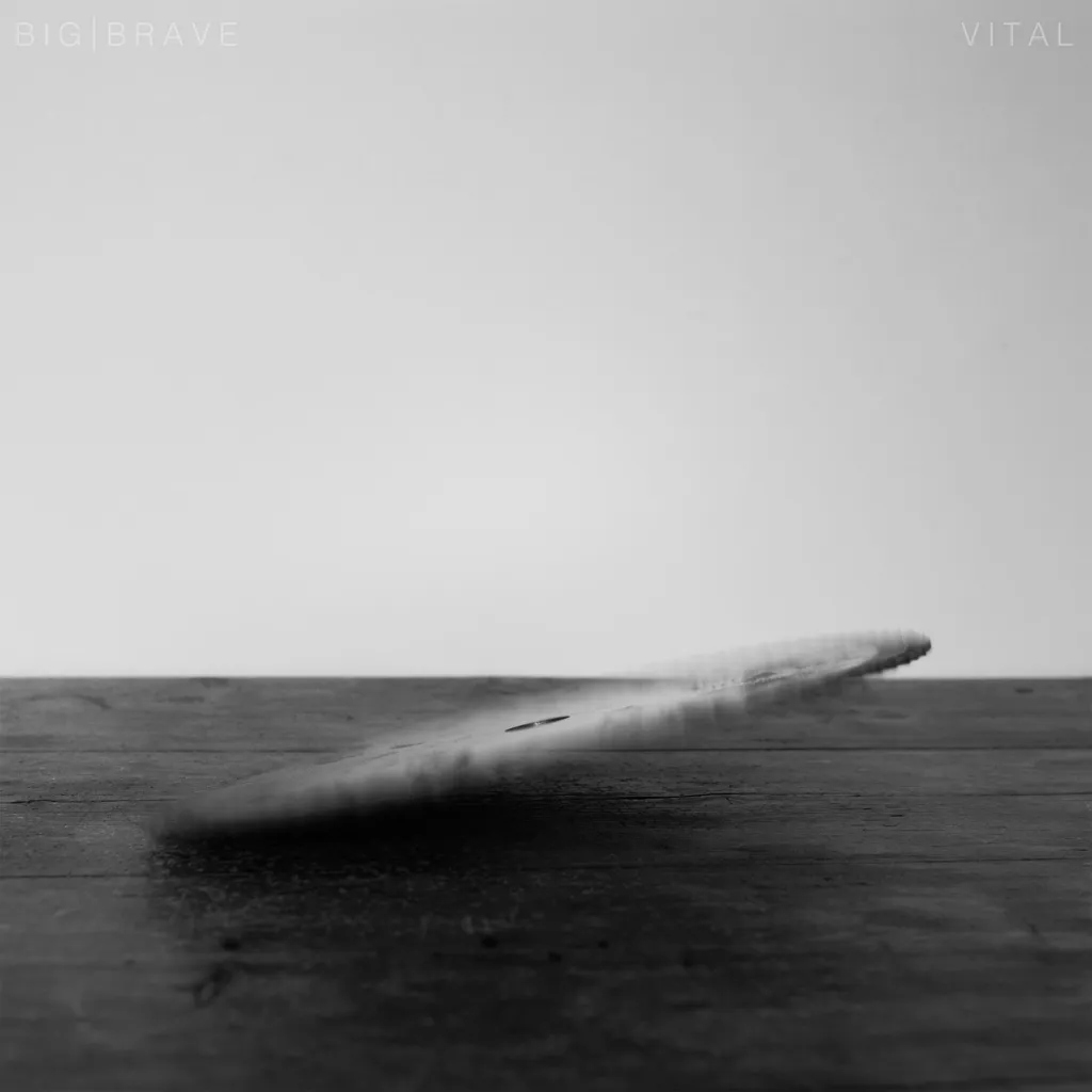 Album artwork for Vital by Big / Brave