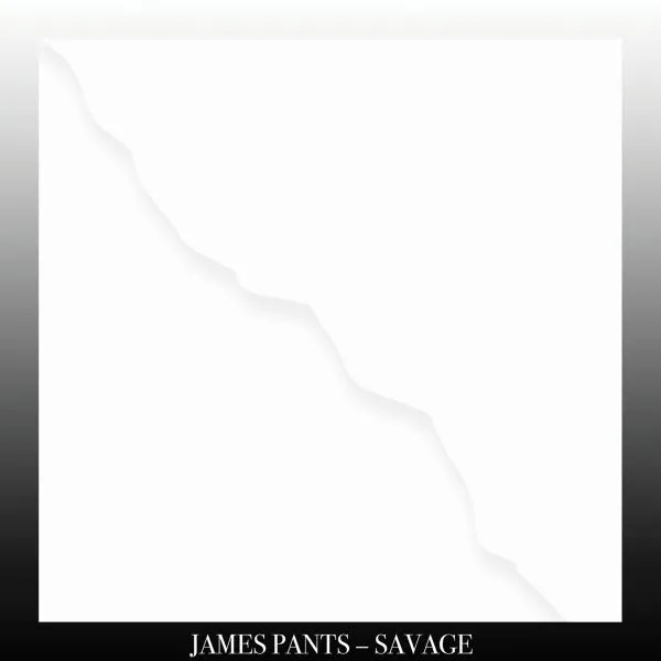 Album artwork for Savage by James Pants