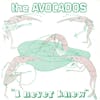 Album artwork for I Never Knew / Television Brought Me Up by The Avocados