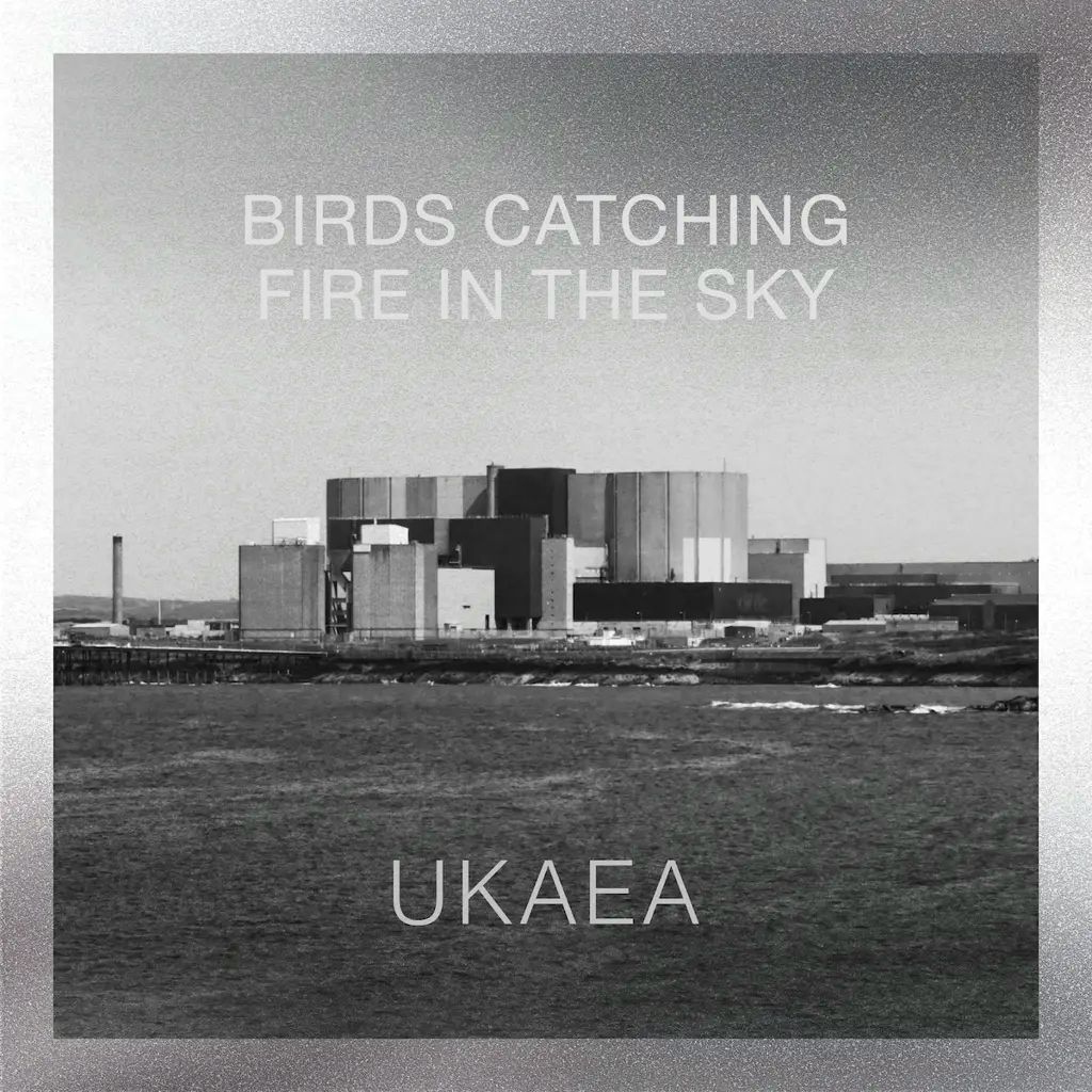 Album artwork for Birds Catching Fire In The Sky by Ukaea
