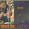 Album artwork for The Enraged Will Inherit the Earth by Mccarthy