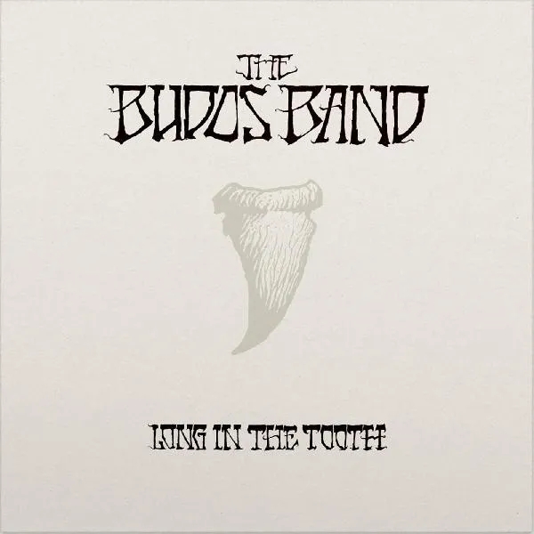 Album artwork for Long in the Tooth by The Budos Band