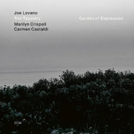 Album artwork for Garden of Expression by Joe Lovano