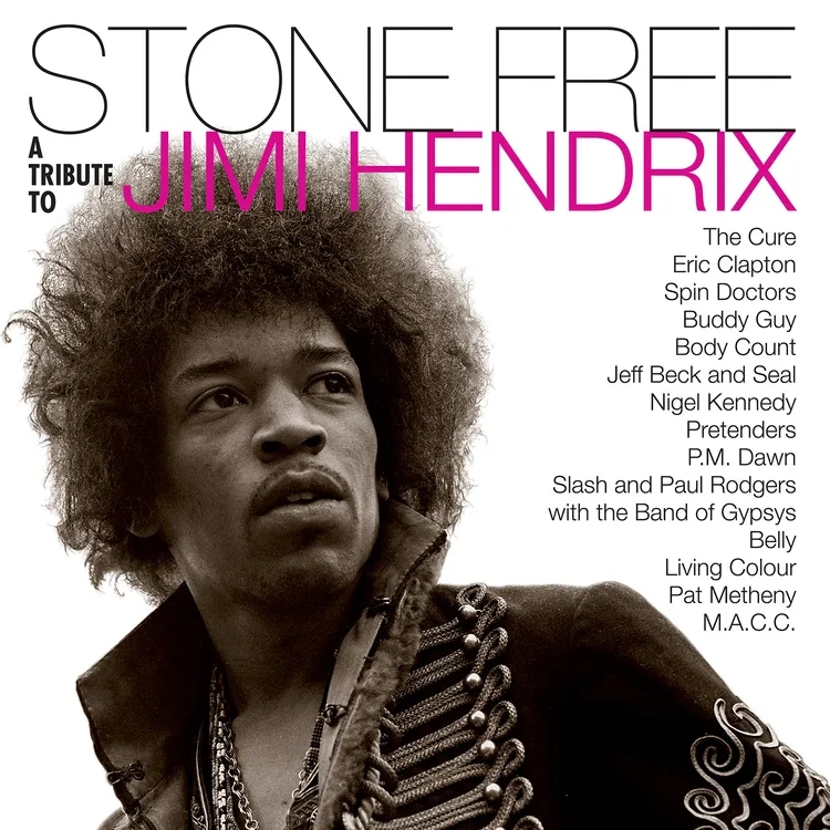 Album artwork for Stone Free: Jimi Hendrix Tribute by Various Artists