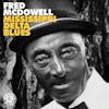 Album artwork for Mississippi Delta Blues by Fred Mcdowell