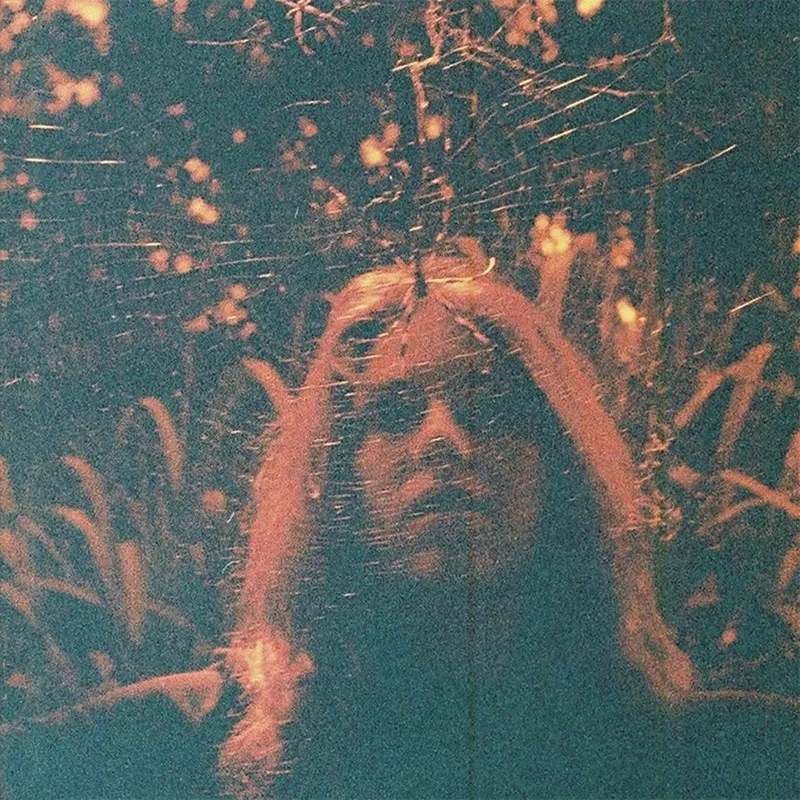 Album artwork for Peripheral Vision by Turnover