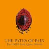 Album artwork for The Paths Of Pain: The CAIFE Label, Quito, 1960-68 by Various