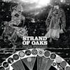 Album artwork for Dark Shores by Strand of Oaks