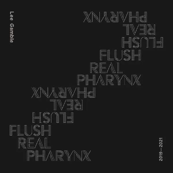 Album artwork for Flush Real Pharynx 2019 - 2021 by Lee Gamble