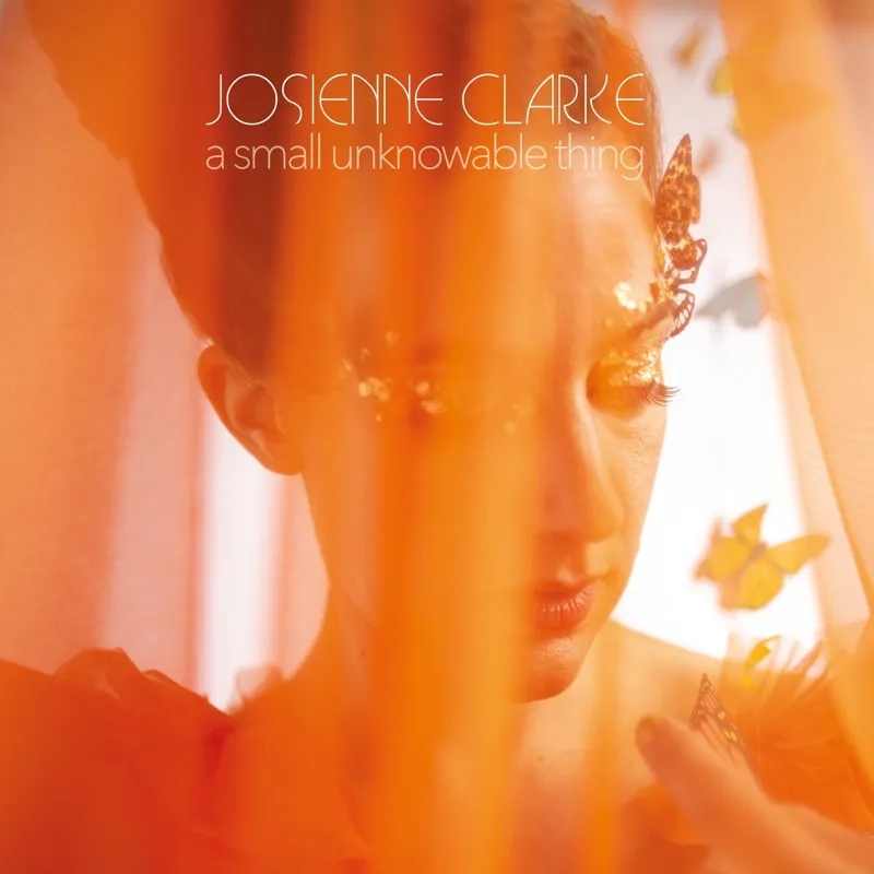 Album artwork for A Small Unknowable Thing by Josienne Clarke