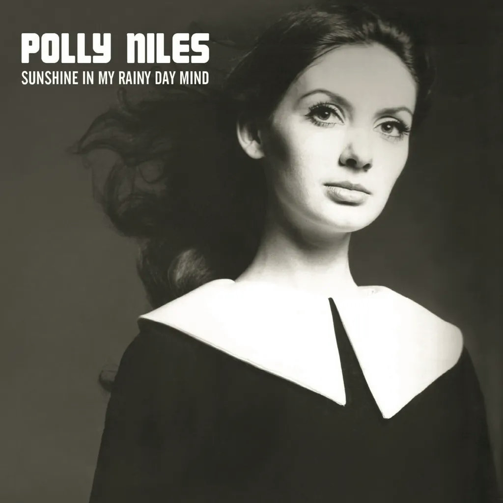 Album artwork for Sunshine In My Rainy Day Mind by Polly Niles