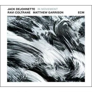 Album artwork for In Movement by Jack DeJohnette Ravi Coltrane Matthew Garrison