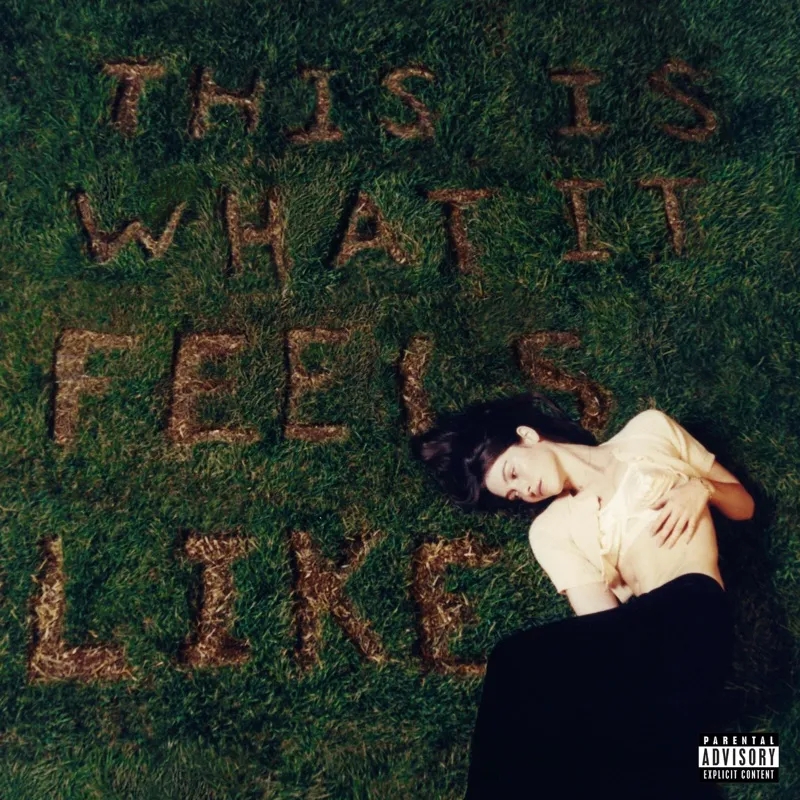 Album artwork for This Is What It Feels Like by Gracie Abrams