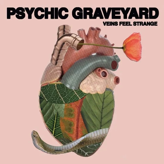 Album artwork for Veins Feel Strange by Psychic Graveyard