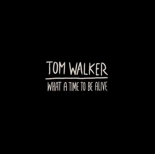 Album artwork for What A Time To Be Alive by Tom Walker