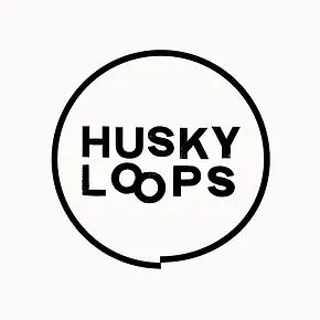 Album artwork for EP2 by Husky Loops