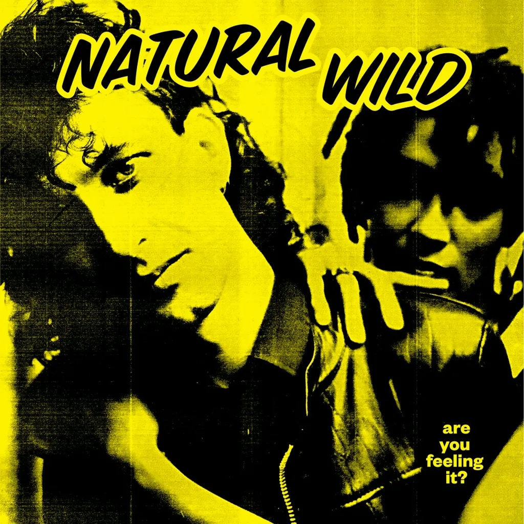 Album artwork for Hot and Sexable (Morgan Buckley Mixes) by Natural Wild