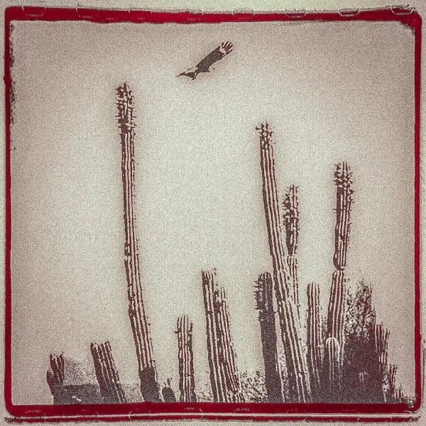 Album artwork for La Cruzada by Alejandro Escovedo