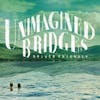 Album artwork for Unimagined Bridges by Driver Friendly