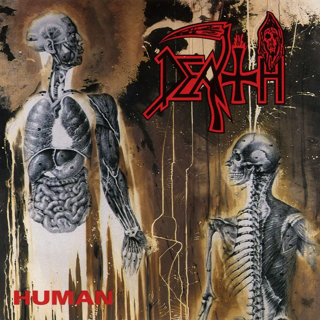 Album artwork for Human by Death