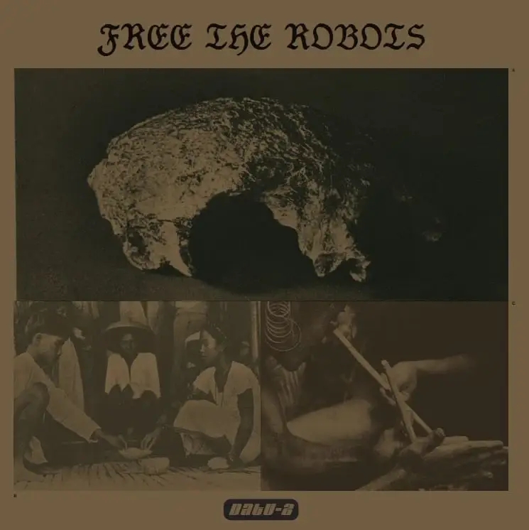 Album artwork for Datu 2 by Free The Robots