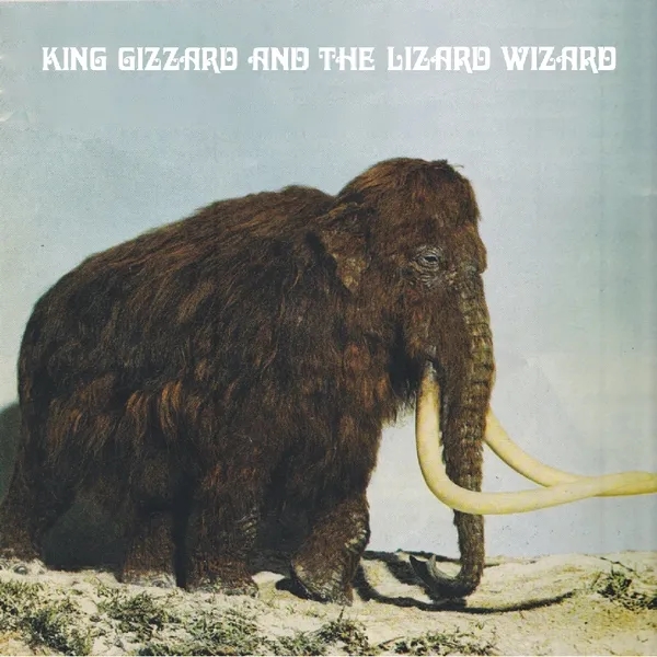 Album artwork for Polygondwanaland - Fuzz Club Version by King Gizzard and The Lizard Wizard