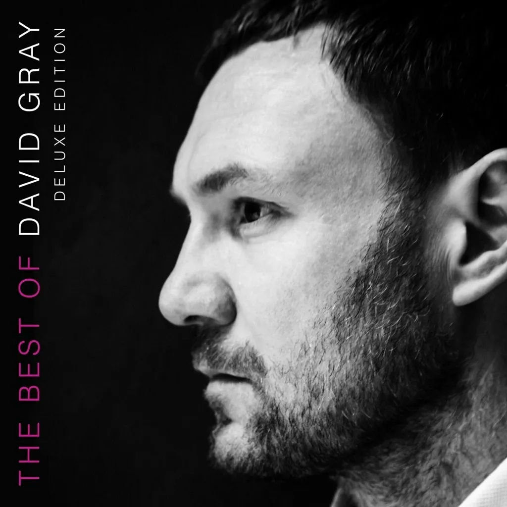 Album artwork for The Best Of David Gray by David Gray