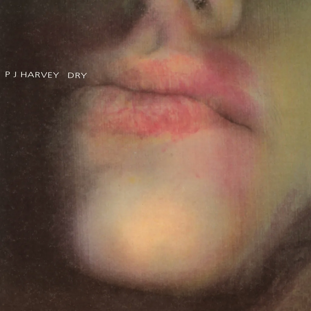 Album artwork for Dry by PJ Harvey