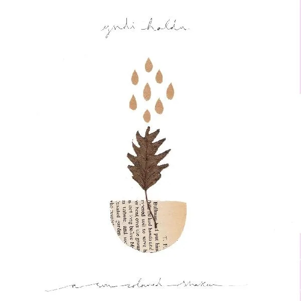 Album artwork for A Sun-Coloured Shaker by Yndi Halda