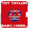 Album artwork for Baby I Miss The Internet by Tot Taylor