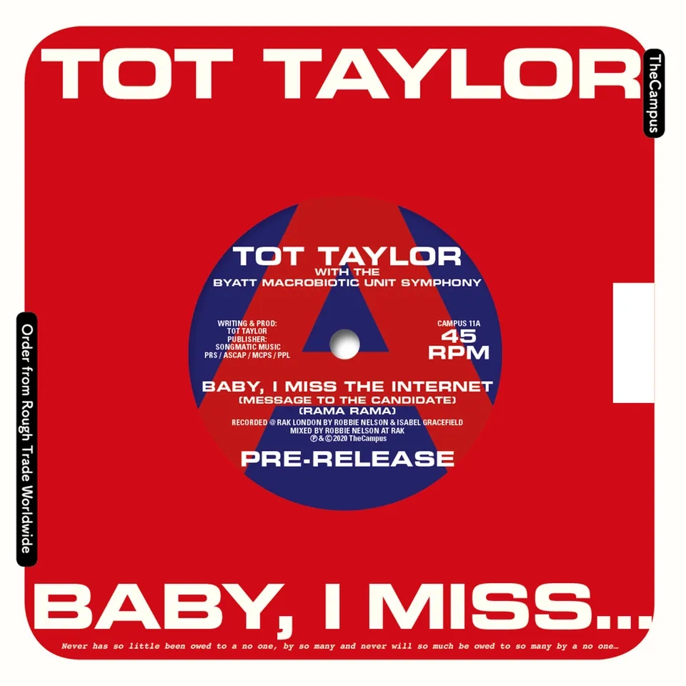 Album artwork for Baby I Miss The Internet by Tot Taylor