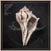 Album artwork for Lullaby and....The Ceaseless Roar by Robert Plant