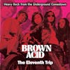 Album artwork for Brown Acid: The Eleventh Trip by Various