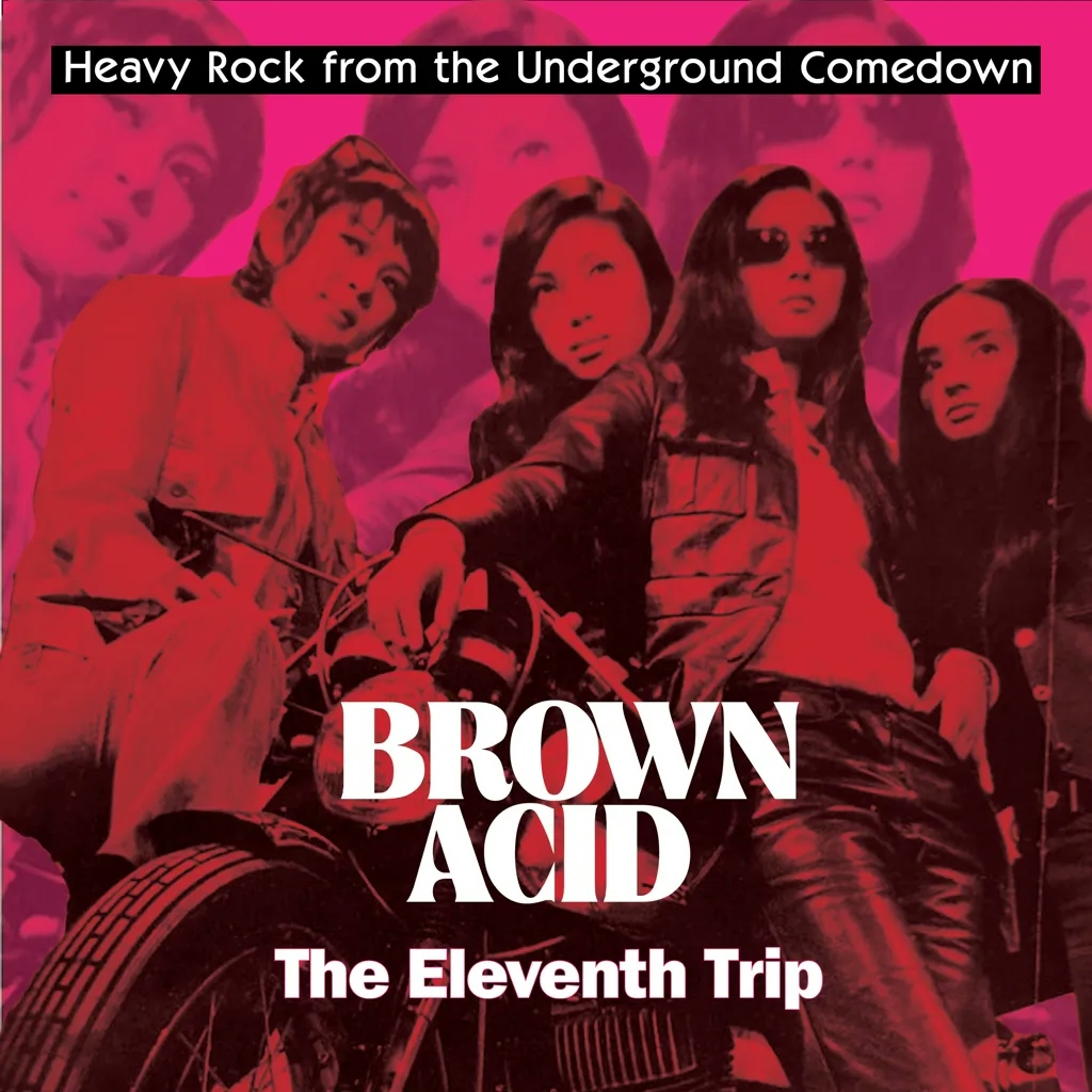 Album artwork for Brown Acid: The Eleventh Trip by Various