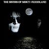 Album artwork for Floodland by The Sisters of Mercy
